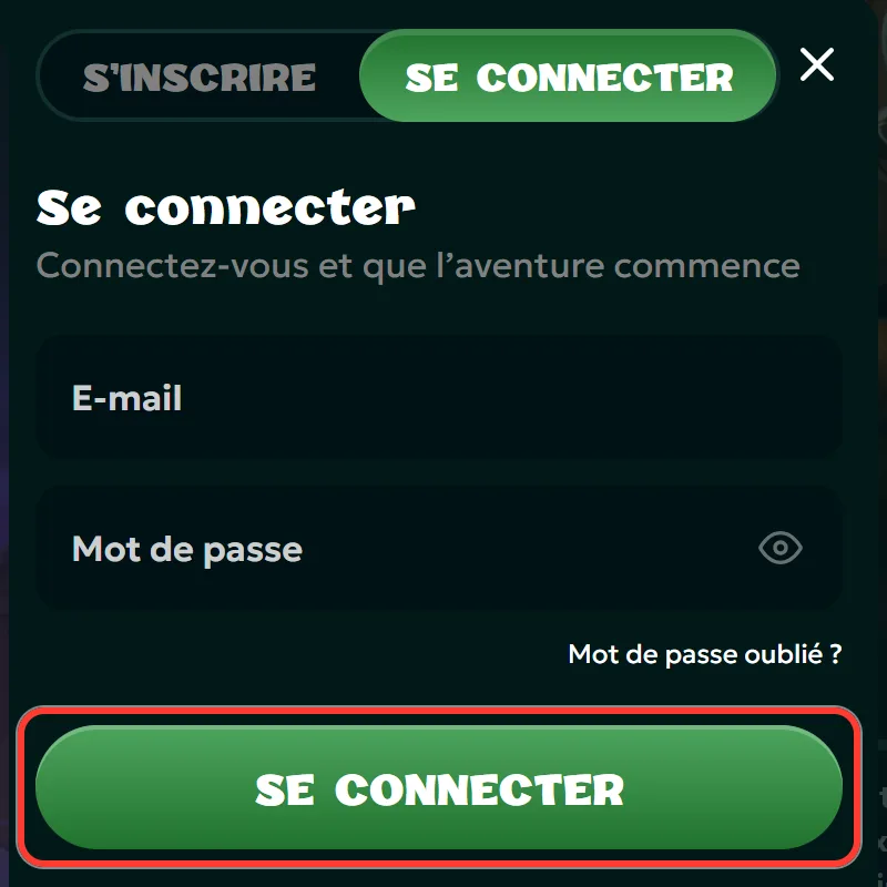 Bouton vert Se connecter pour valider l'accès au compte