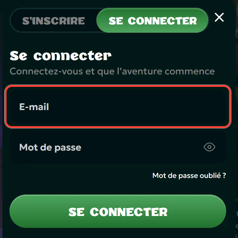 Champ e-mail du formulaire de connexion Rivo