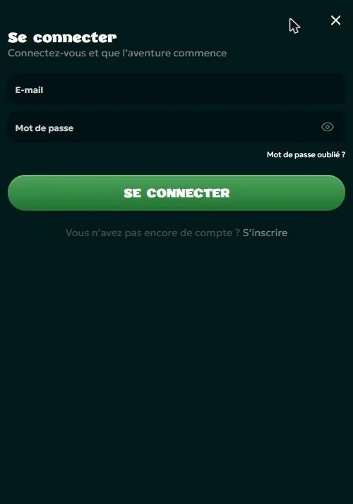 Formulaire de connexion Rivo en plein écran sur mobile