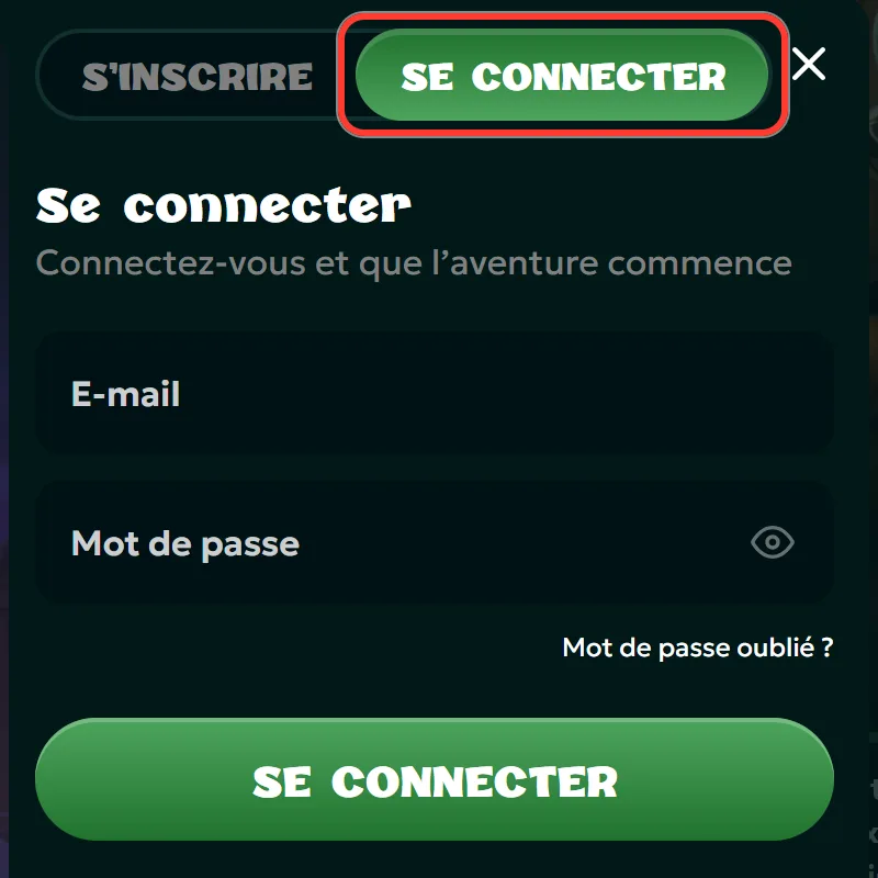 Onglet Se connecter actif dans la fenêtre de connexion Rivo
