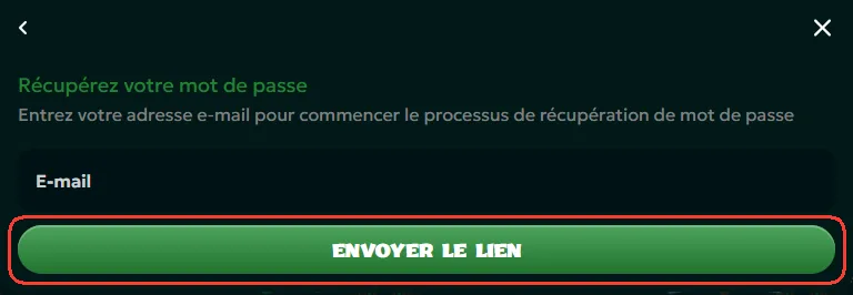 Bouton Envoyer le lien pour réinitialiser le mot de passe