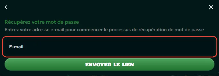 Champ e-mail pour recevoir le lien de réinitialisation